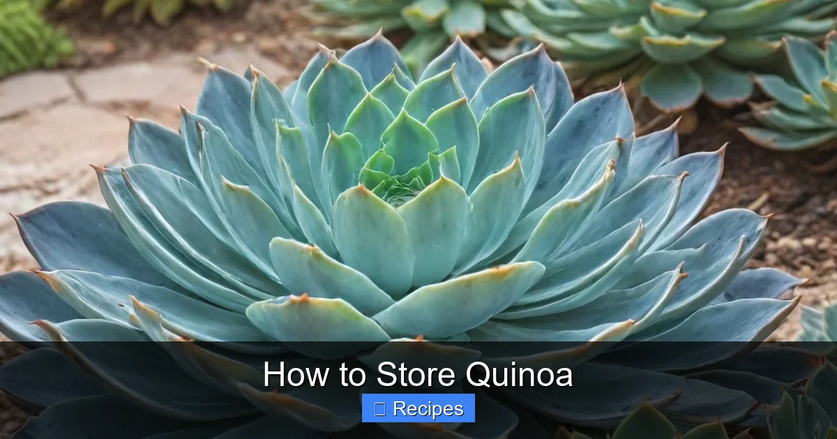 How to Store Quinoa
