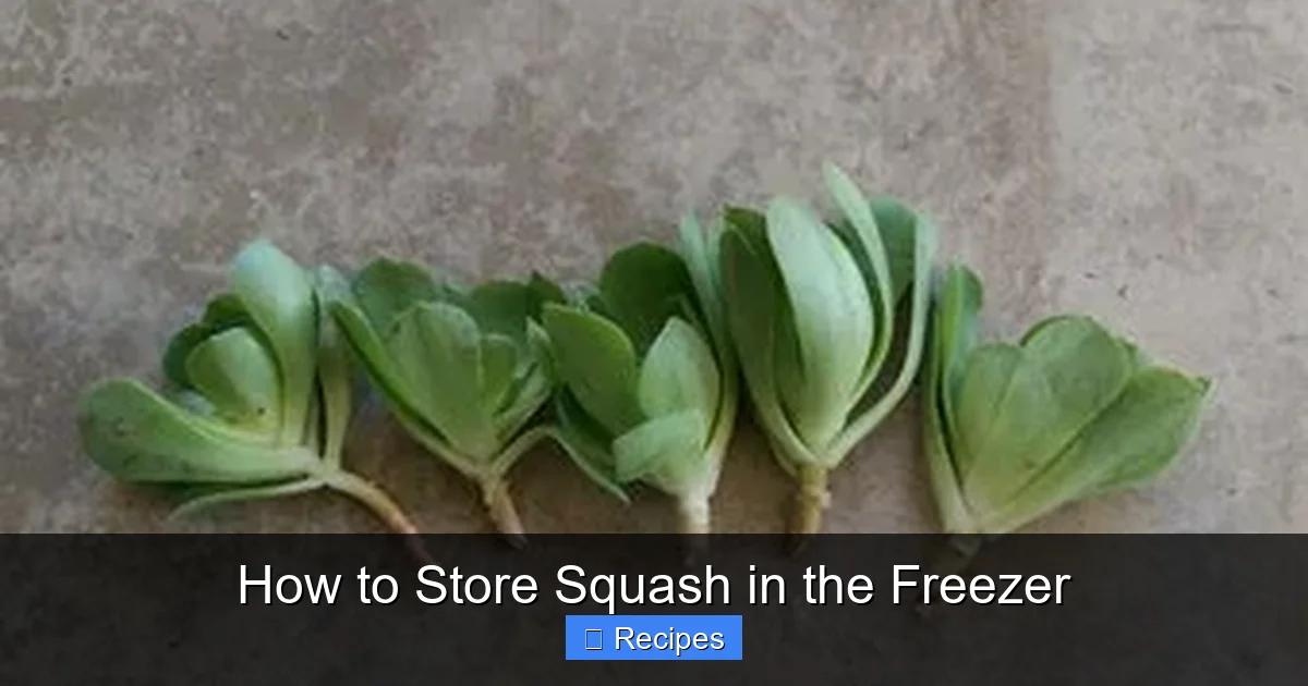 How to Store Squash in the Freezer