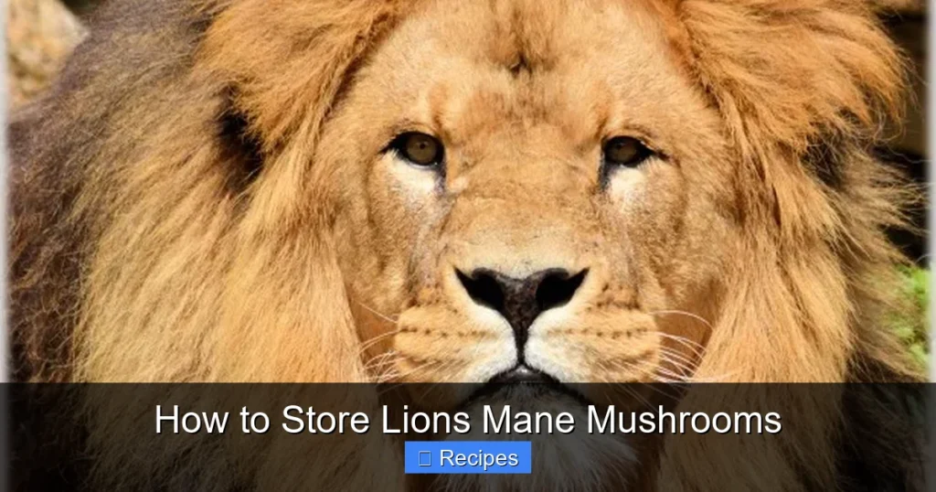 How to Store Lions Mane Mushrooms