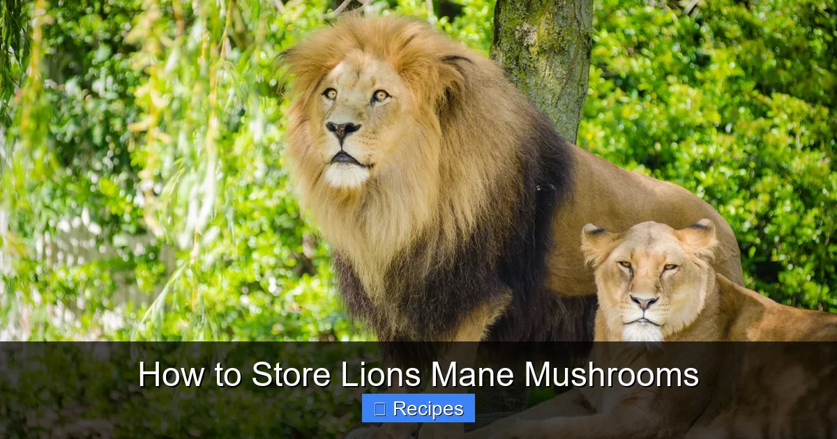 How to Store Lions Mane Mushrooms