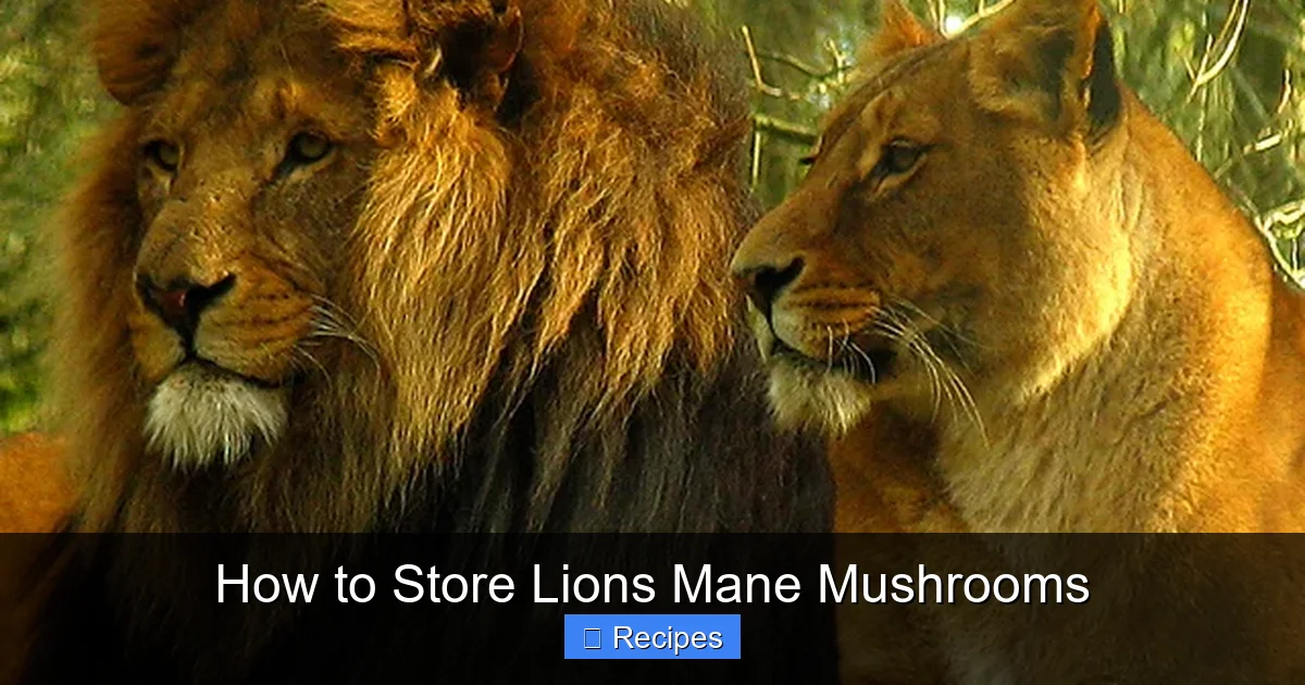 How to Store Lions Mane Mushrooms