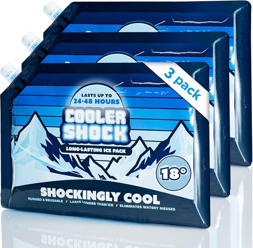 Best Budget Cooler Shock Reusable Ice Packs Large