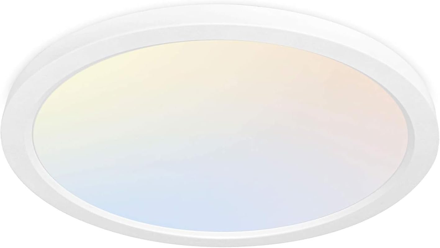 hykolity 12-Inch Selectable CCT LED Round Flat Panel Light, 24W Edge-L