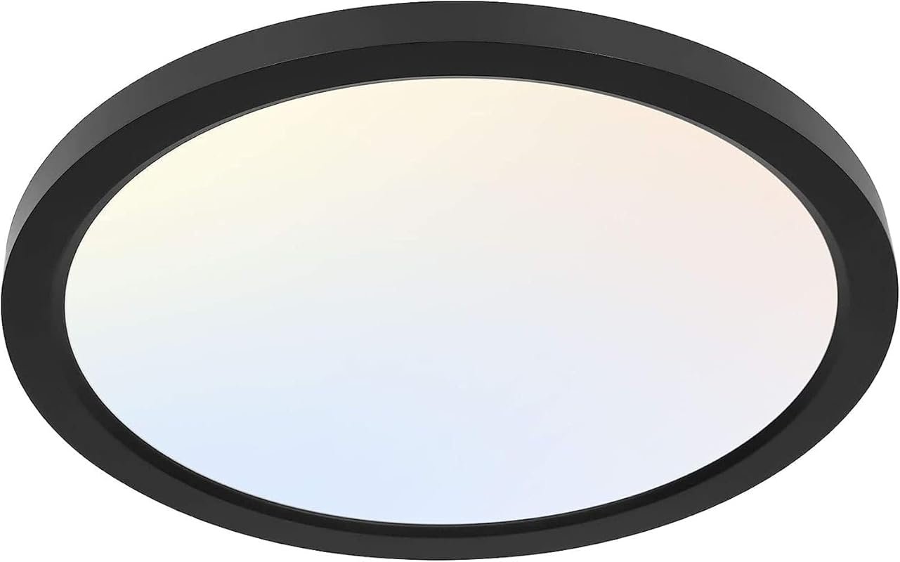 hykolity 12-Inch Selectable CCT LED Round Flat Panel Light, 24W Dimmab