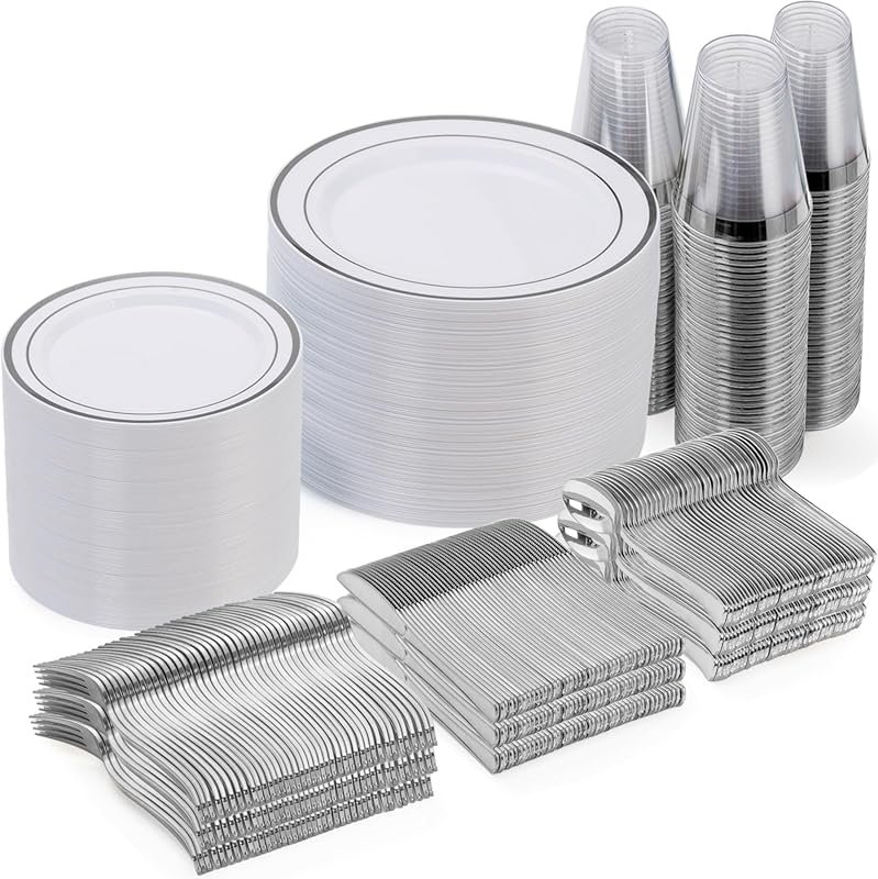 Goodluck 600-Piece Disposable Silver Dinnerware Set for 100 Guests – I