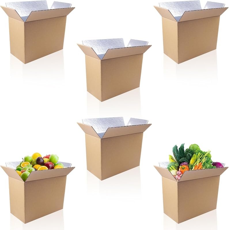 Insulated Shipping Boxes 6 Pack for Frozen Food, Large Foil Cooler Mov