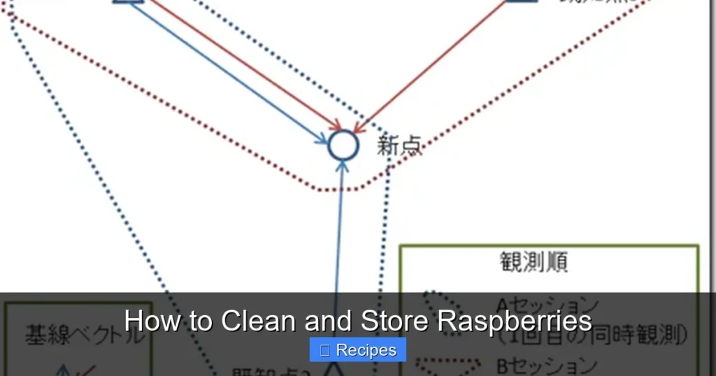 How to Clean and Store Raspberries