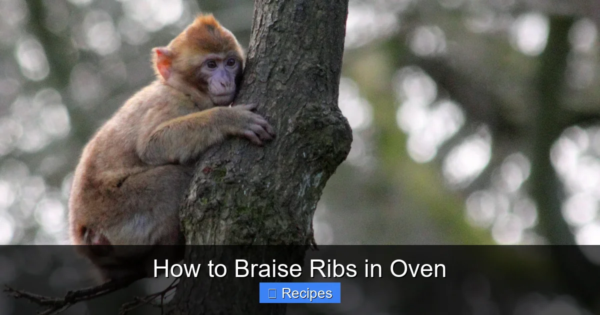 How to Braise Ribs in Oven
