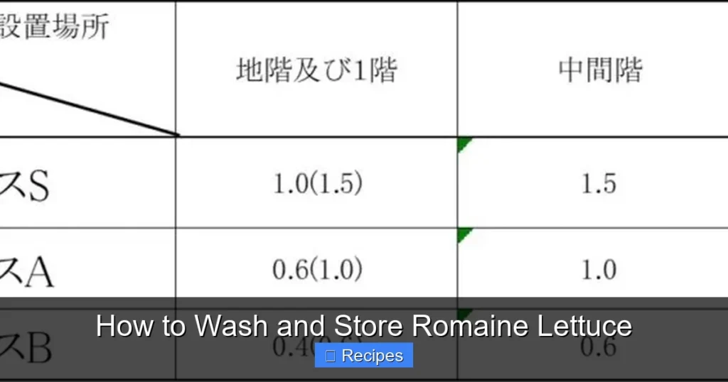 How to Wash and Store Romaine Lettuce