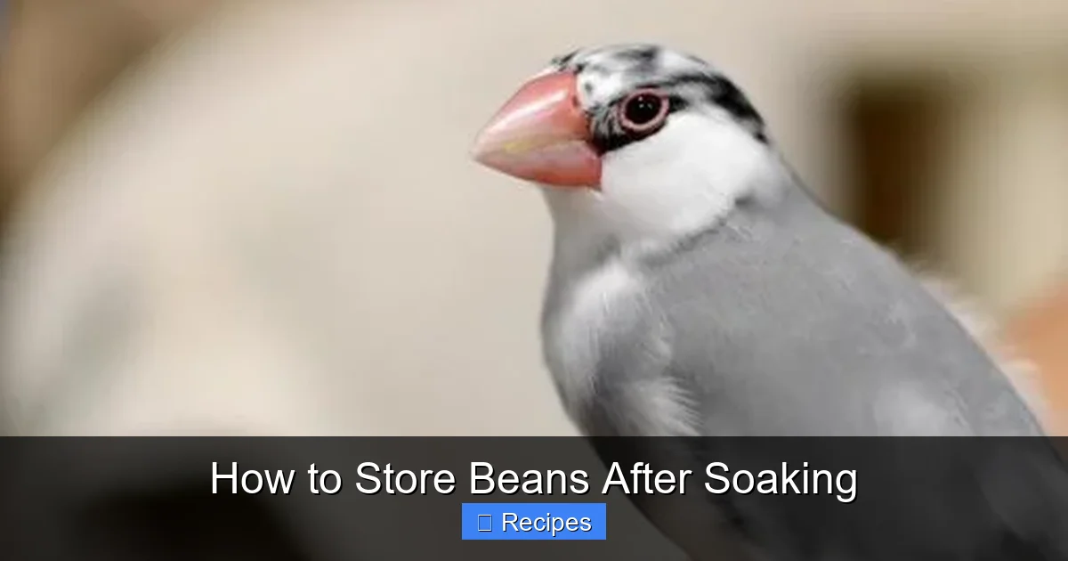 How to Store Beans After Soaking
