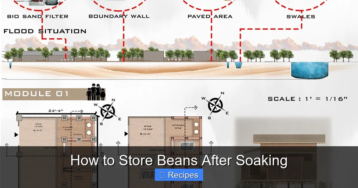 How to Store Beans After Soaking