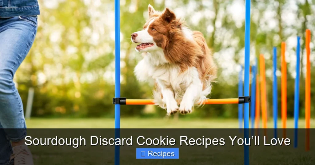 Sourdough Discard Cookie Recipes You’ll Love