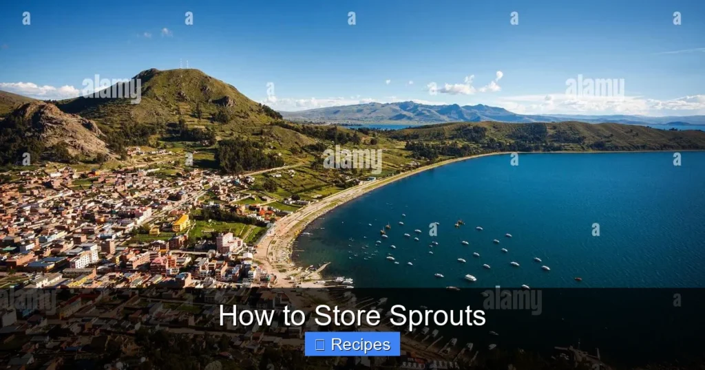 How to Store Sprouts