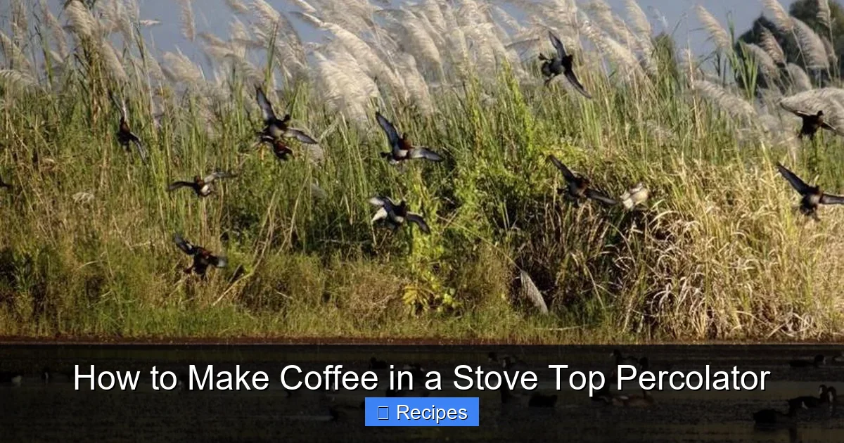 How to Make Coffee in a Stove Top Percolator