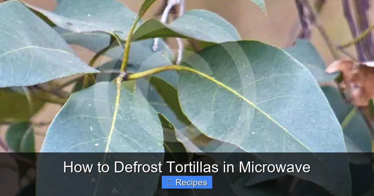 How to Defrost Tortillas in Microwave