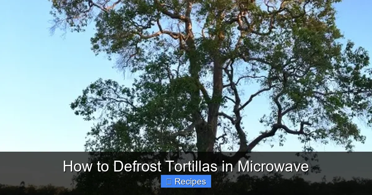 How to Defrost Tortillas in Microwave