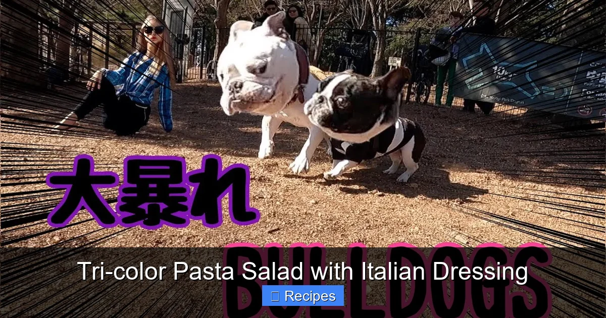 Tri-color Pasta Salad with Italian Dressing