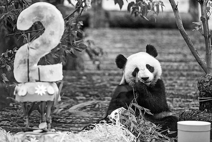 Whats Healthier Air Fryer or Oven