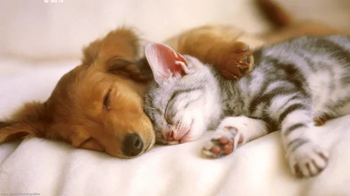 Can I Drink Coffee While Taking Antibiotics for Uti