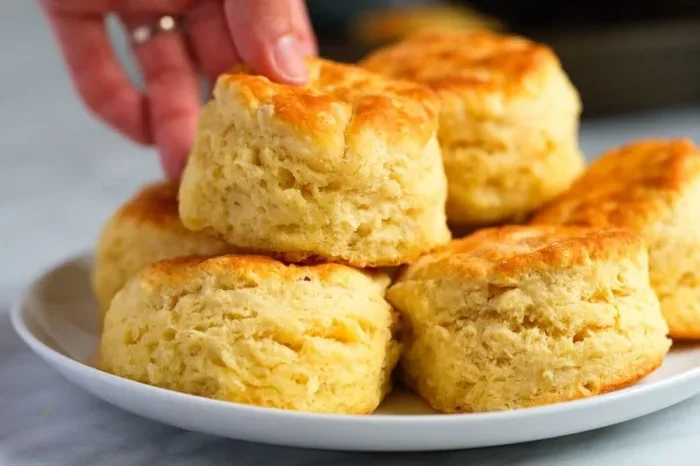 Can Biscuits in Air Fryer Oven