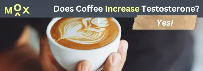 Does Coffee Affect Testosterone