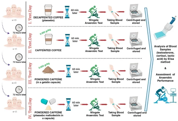 Does Coffee Affect Testosterone