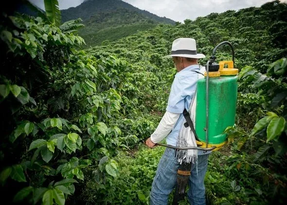 Does Coffee Have Pesticides