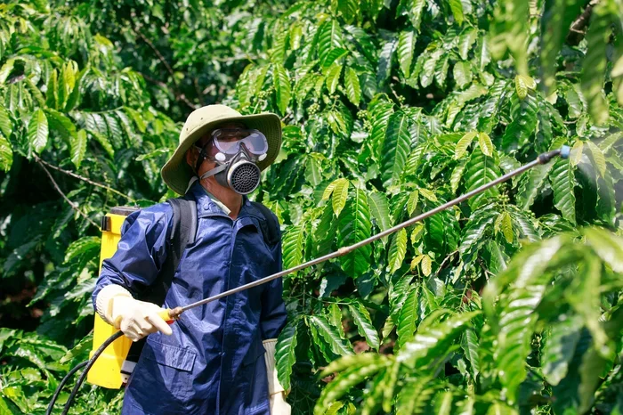 Does Coffee Have Pesticides