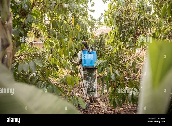 Does Coffee Have Pesticides