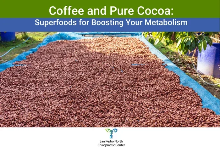 Does Coffee Boost Metabolism