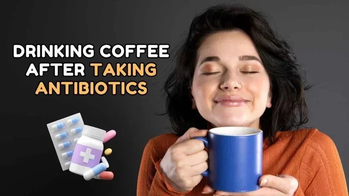 Can You Drink Coffee While Taking Antibiotics