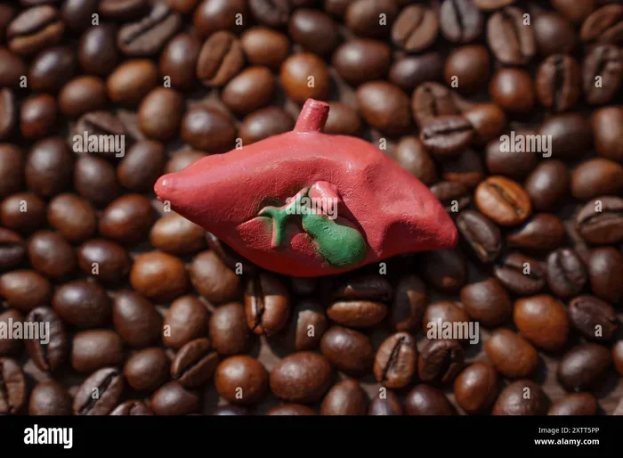 Does Coffee Reverse Liver Damage Caused by Alcohol