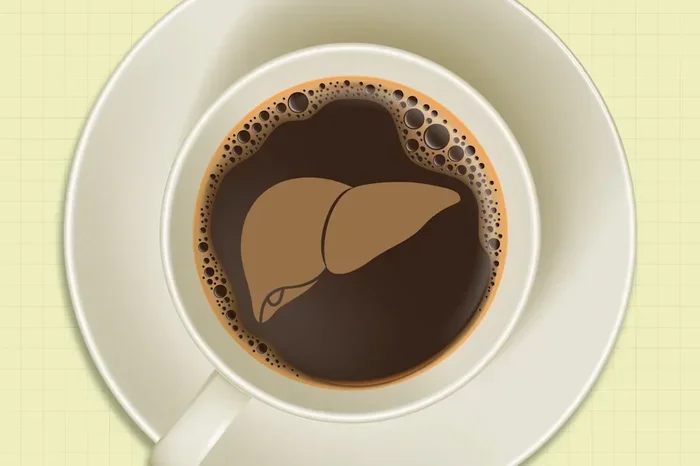 Does Coffee Reverse Liver Damage Caused by Alcohol