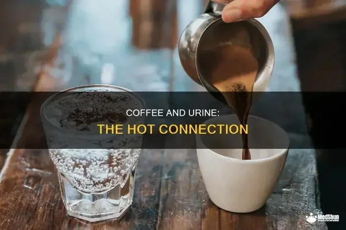 How Long Does Coffee Act as a Diuretic