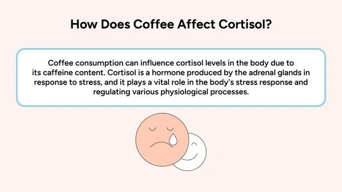Does Coffee Spike Cortisol
