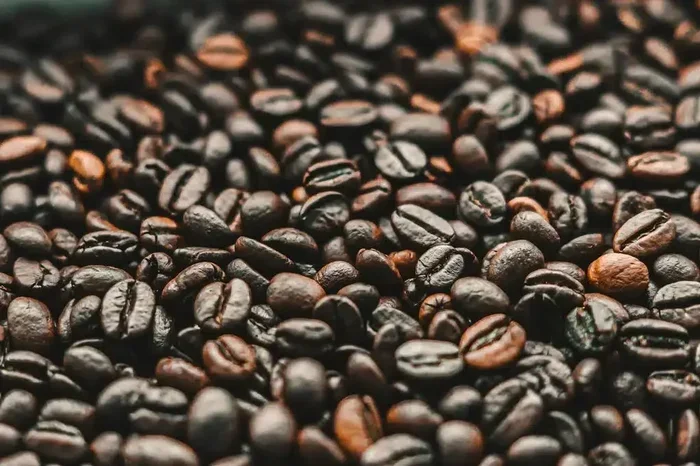 Can Coffee Help with Bloating