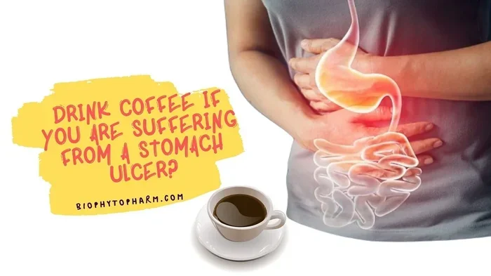 Does Coffee Cause Ulcers