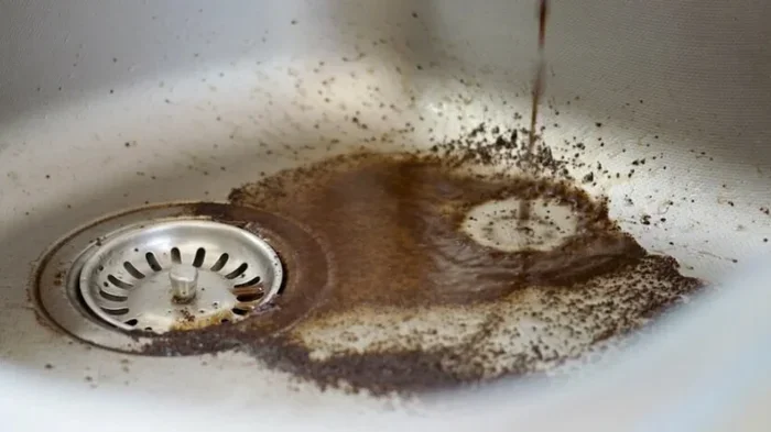 Can Coffee Grounds Go in the Garbage Disposal