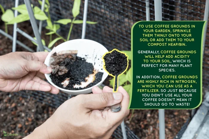 How to Reuse Coffee Grounds