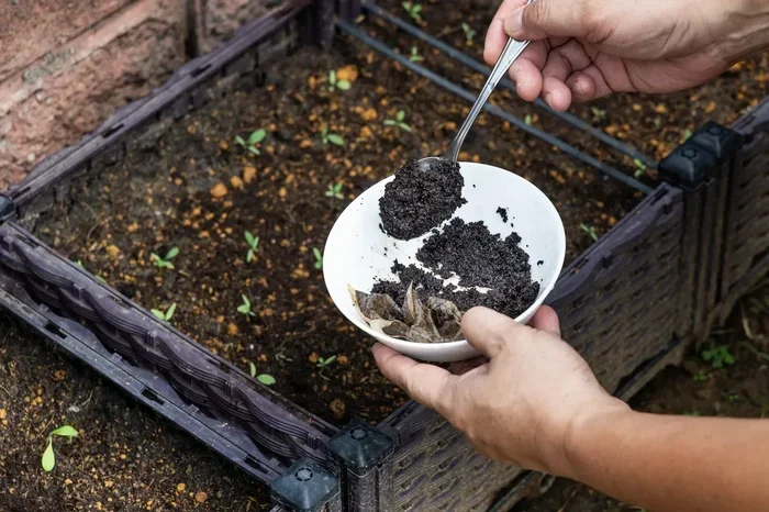 How to Reuse Coffee Grounds