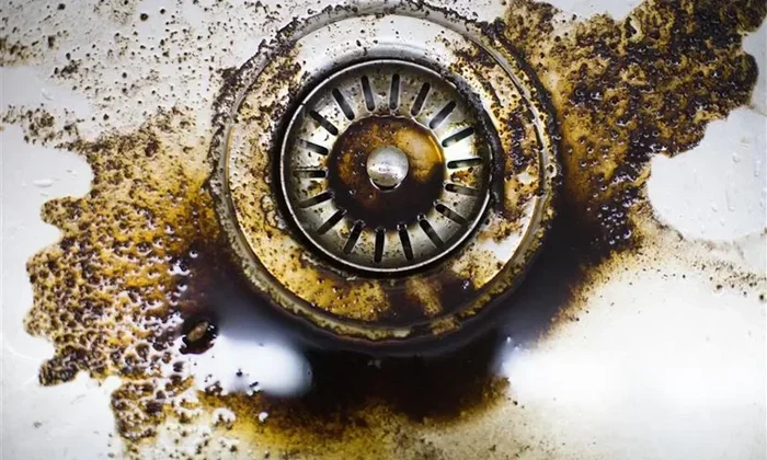 Can Coffee Grounds Go Down the Garbage Disposal
