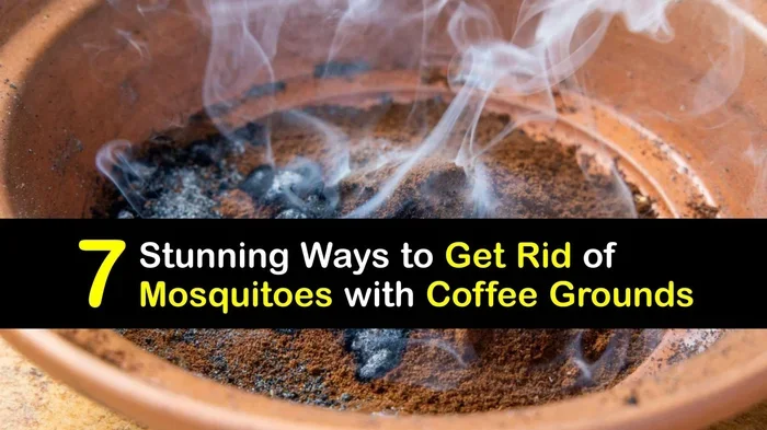 Does Coffee Deter Mosquitoes