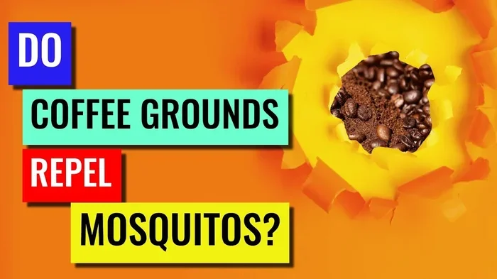 Does Coffee Deter Mosquitoes