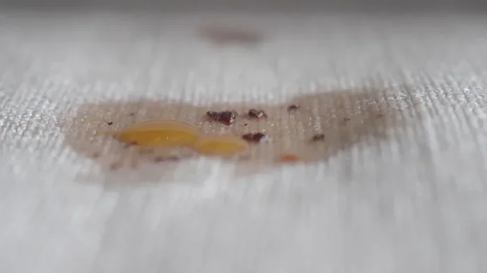 How to Coffee Stain Fabric
