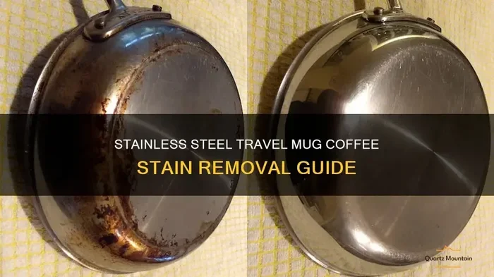 How to Clean Coffee Stains from Stainless Steel Mug