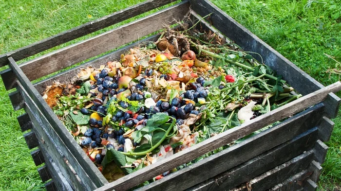 Can You Compost Coffee Grounds