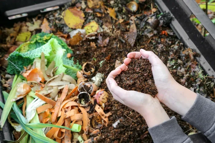 Can You Compost Coffee Grounds