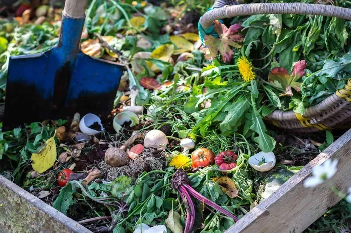 Can You Compost Coffee Grounds