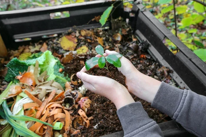 Can You Compost Coffee Grounds