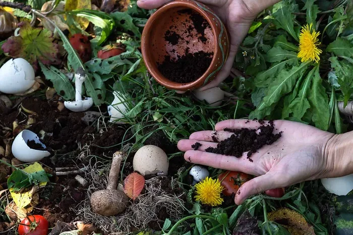 How to Compost Coffee Grounds